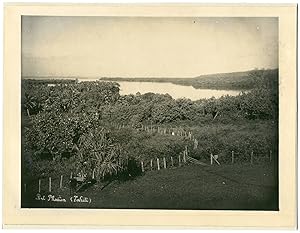 Gauthier Tahiti, Papeete