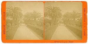 Stereo, Espagne, Alcazar de Séville, palmiers du jardin