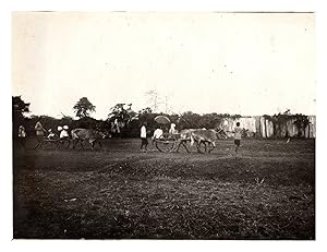 Cambodge, Oudong, retour de fêtes