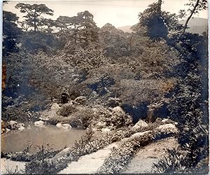 Cambodge, un jardin