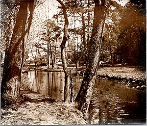 Nature, forêt et cours d'eau