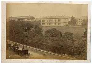 Ireland, Dublin, Trinity college park