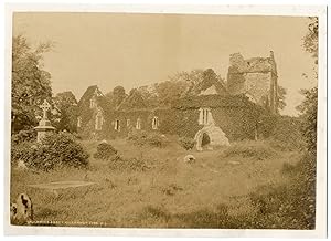 Ireland, Killarney, Muckross abbey