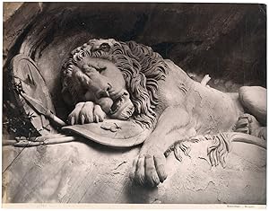 Sommer, Suisse, Lion de Lucerne