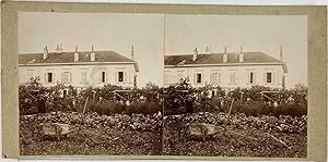 Stéréo, travail au jardin, le potager