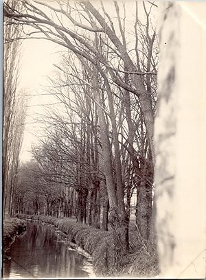 Nature, arbres et cours d eau