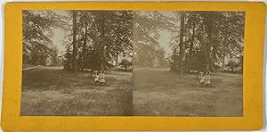 Stéréo, portrait, des enfants dans un parc