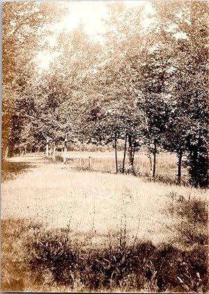 Etang, forêt, arbres