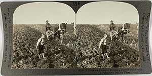 Keystone, Stéréo, Russian farmer tilling field with primitive native plow