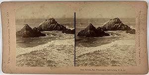 Stéréo, USA, California, San Francisco, Seal rocks