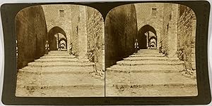 White, Stéréo, Palestine, Jerusalem, street leading to Herold place