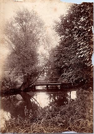 Nature, forêt et rivière