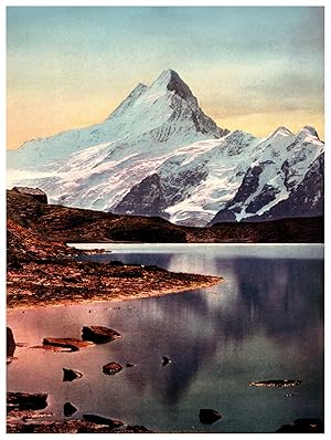 Suisse, Bachalpsee und Schreckhorn