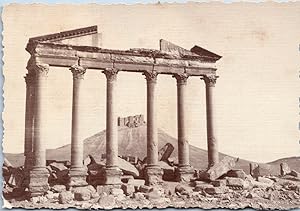 Syrie, ruines de Palmyre