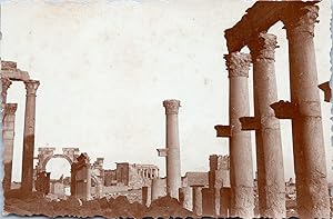 Syrie, colonnes de Palmyre