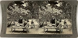 Keystone, Stéréo, Kyoto, a family picnic under the cherry blossoms