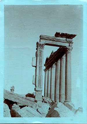Syrie, ruines de Palmyre