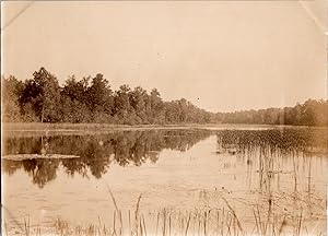 Nature, forêt et cours d eau