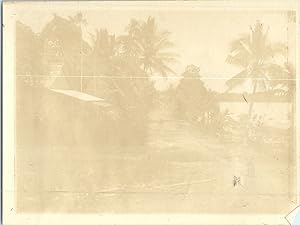 Indonésie, Bornéo, maisons, 1909