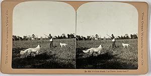 The Great Western View Co., in the Stubble Field, "A Point, Look Out!"