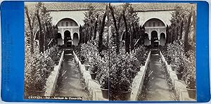 España, Espagne, Granada, Jardines de Generalife