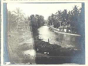 Indonésie, île de Java, jardin botanique Buitenzorg, 1913
