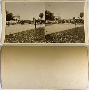 Algérie, El Goléa, el Menia, la place du marché