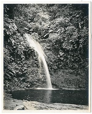 Trinidad, waterfall