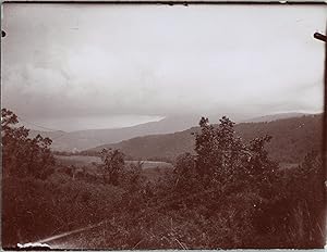 Maghreb, Vallée, Vintage citrate print, ca.1900