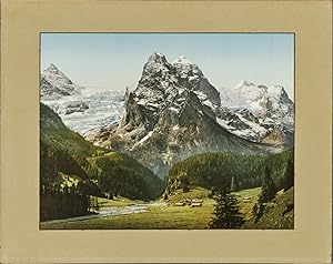 P.Z mammouth print Suisse, Rosenlauigletsche