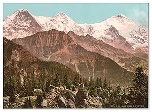 Schweiz, Berner Oberland, Schynige Platte mit Eiger, Mönch und Jungfrau