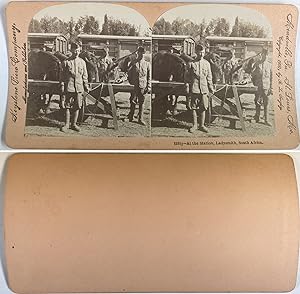 South Africa, Ladysmith, at the station, military and horses