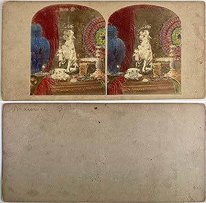 Statue et autres curiosités, Vintage albumen print, ca.1880, stéréo