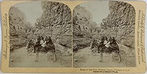 Strohmeyer & Wyman, USA, Colorado, Children in the Williams Canyon, stereo, 1894