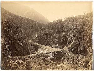 New Zealand, west coast road, Bealey Bridge