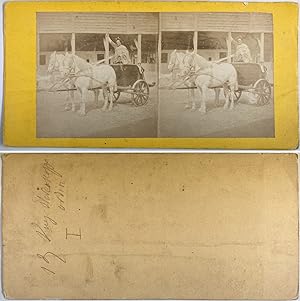 Homme en costume romain dans un chariot de course, Vintage albumen print, ca.1860, stéréo