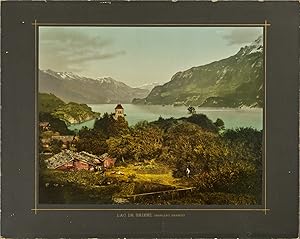 P.Z mammouth print Suisse, lac de Brienz