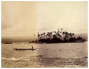 Hawai, Coconut island