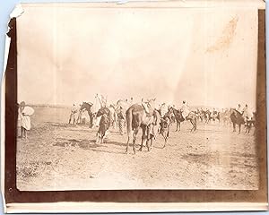 Maroc, Marrakech, Cavalerie, Vintage citrate print, 14 juillet 1914