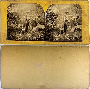Hommes réparant un mur, Vintage albumen print, ca.1870, Stéréo