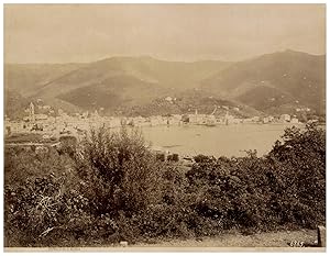 Italie, Rapallo da S. Nicola, Photo. A. Noack