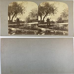 Homme observant un paysage, Vintage albumen print, ca.1860, Stéréo