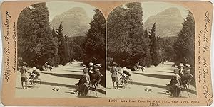 B.L. Singley, South Africa, Cape Town, Lion Head from De Waal Park, stereo, 1901