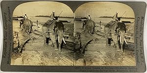 Keystone, Burma (Myanmar), Mulmain, stereo, Elephants Hauling Teak Logs, ca.1900