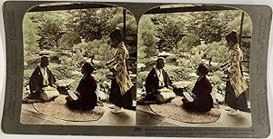 Underwood, Gardens of M. Y. Namikawa, stereo, 1904