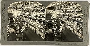 Singley, Japan, Maebashi, Mammoth Plant of the Mitsui Company, stereo, ca.1900