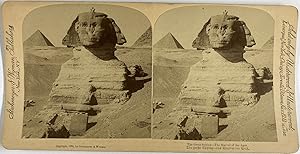 Strohmeyer & Wyman, Egypt, Cairo, The Great Sphinx, stereo, 1894
