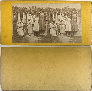 Femmes ajustant une vigne, Vintage albumen print, ca.1870, Stéréo