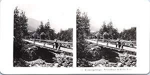 Pologne, Monts des Géants (Karkonosze), Pont près du Sn  ka (Schneekoppe), Vintage print, ca.1900...