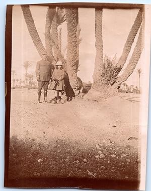 Maroc, La Palmeraie, Vintage citrate print, 1916